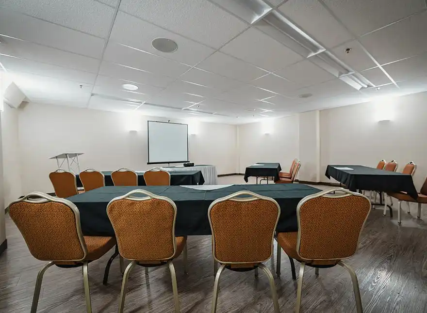 Birch Room 2