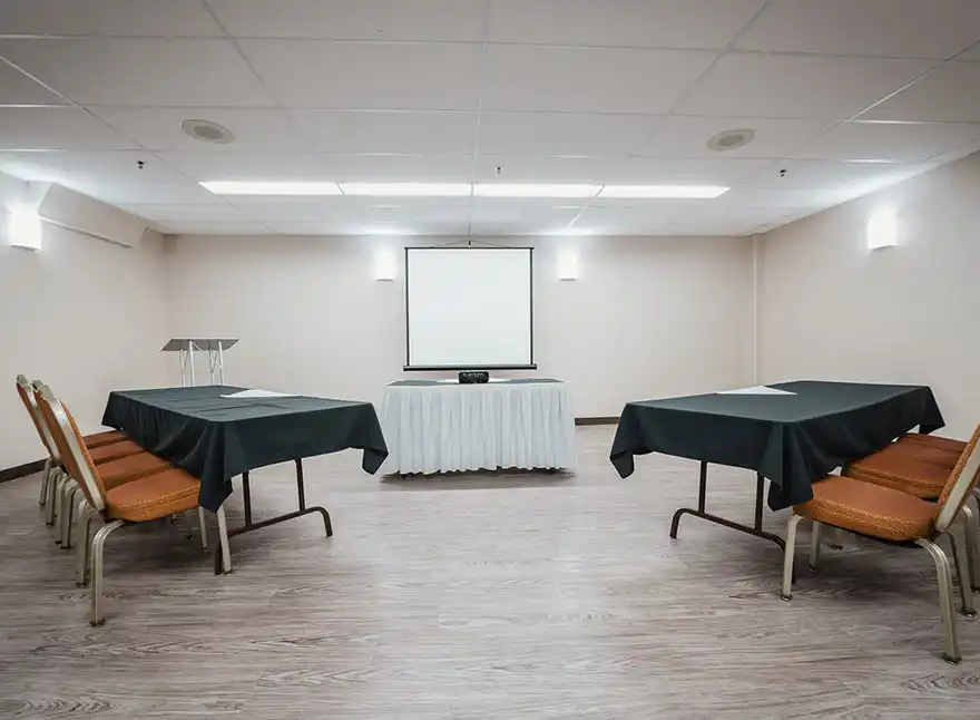 Birch Room 3