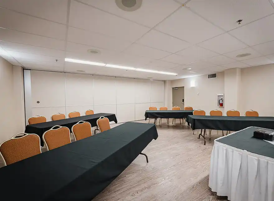 Birch Room 7