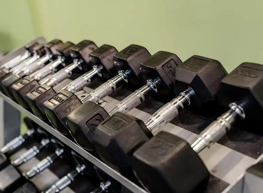 Free Weights