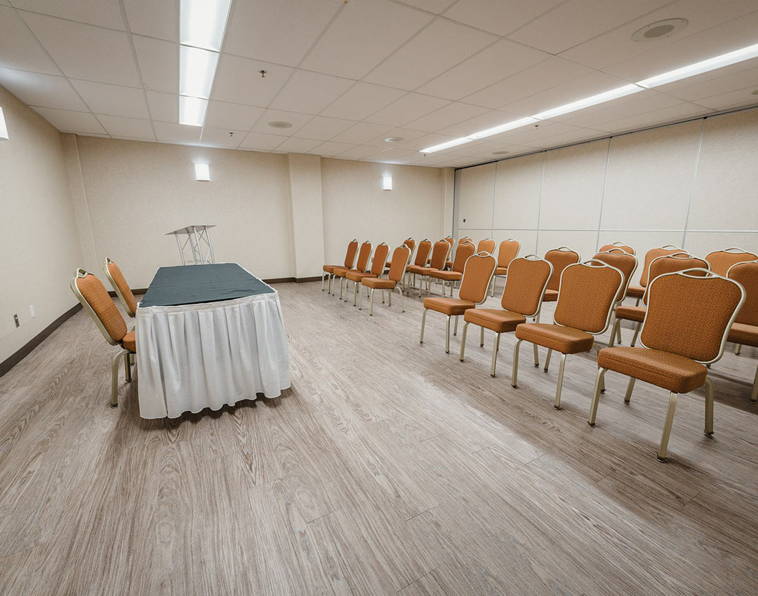 Birch Room 11