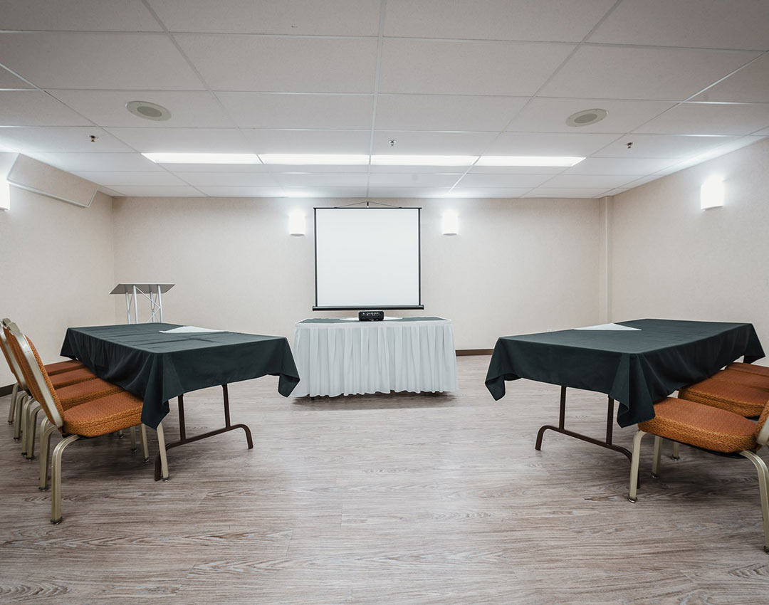 Birch Room 3