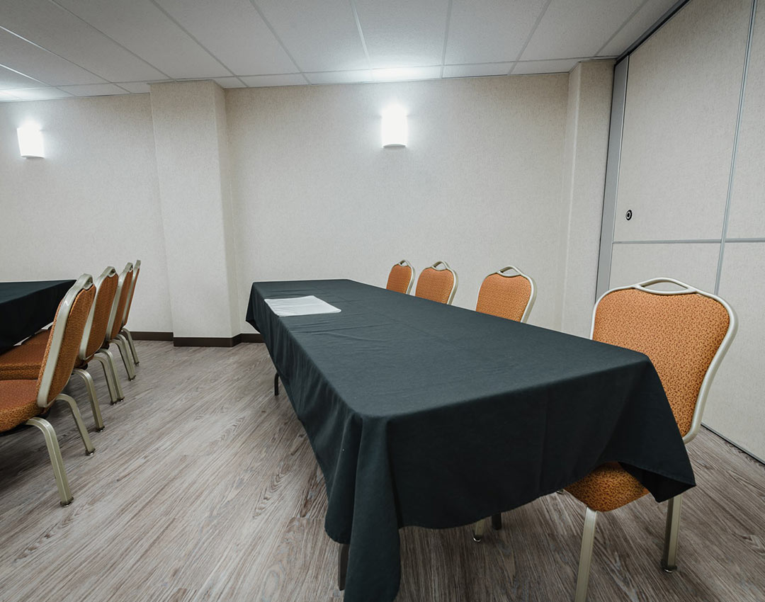 Birch Room 4
