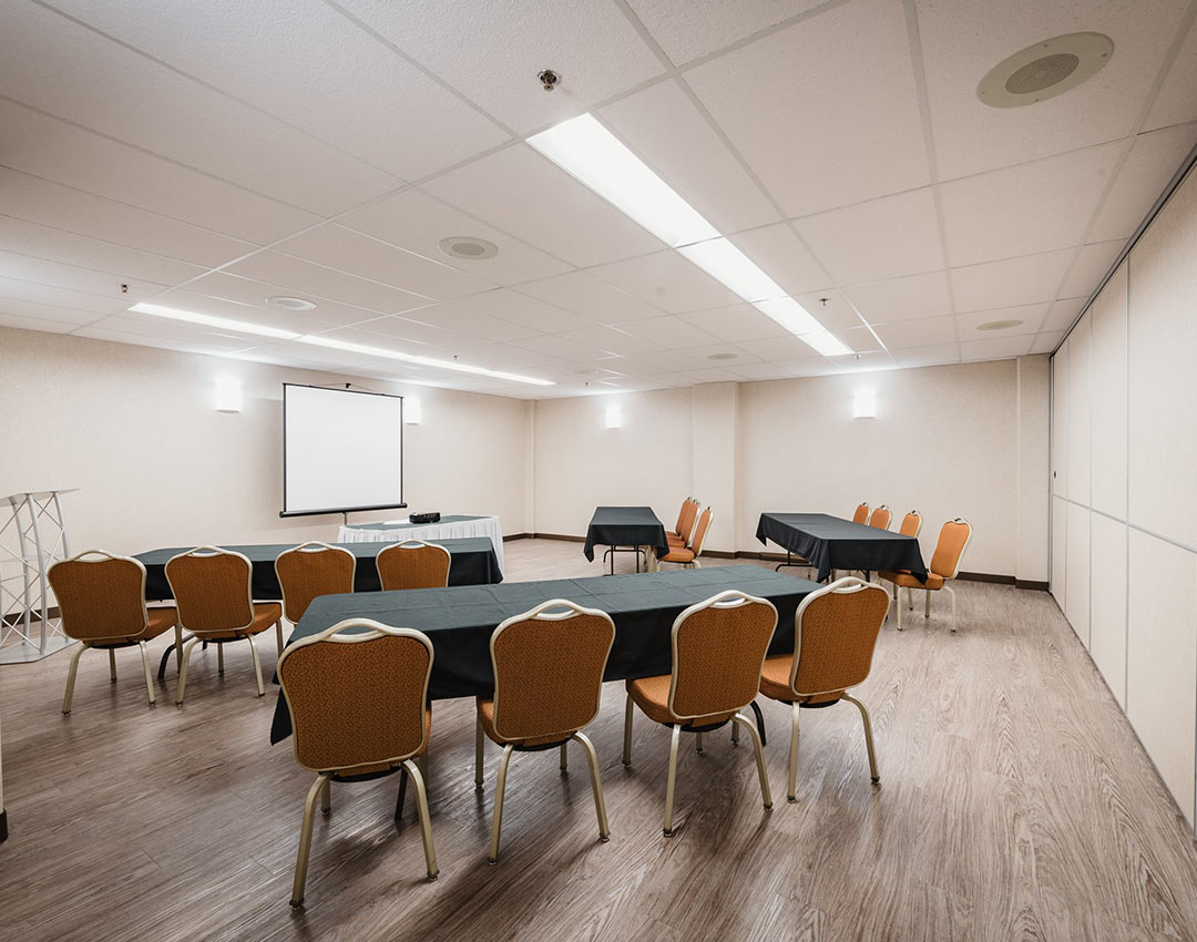 Birch Room 8
