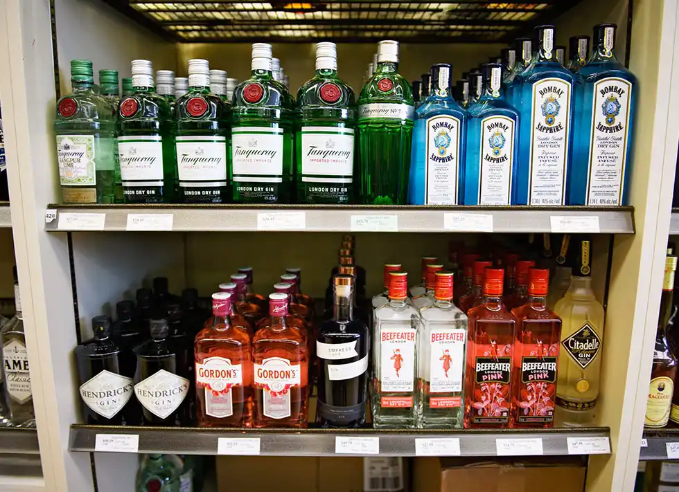 Gin