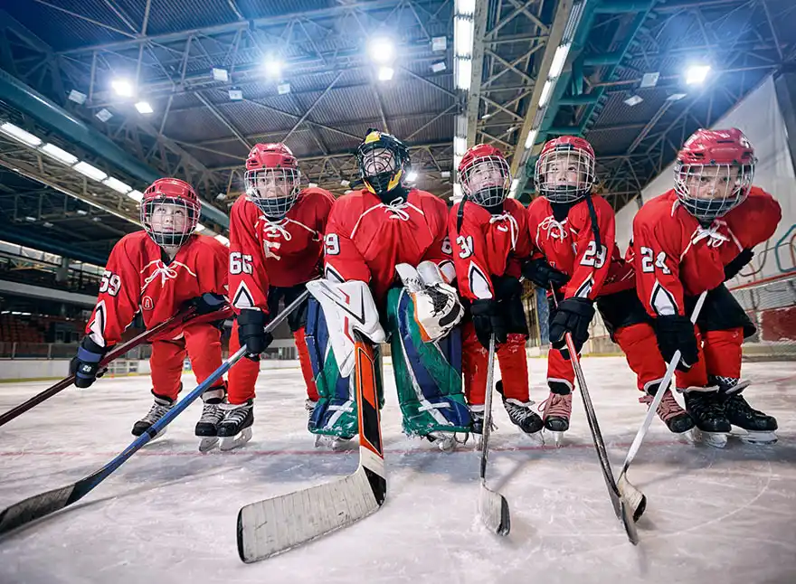 Sports Teams