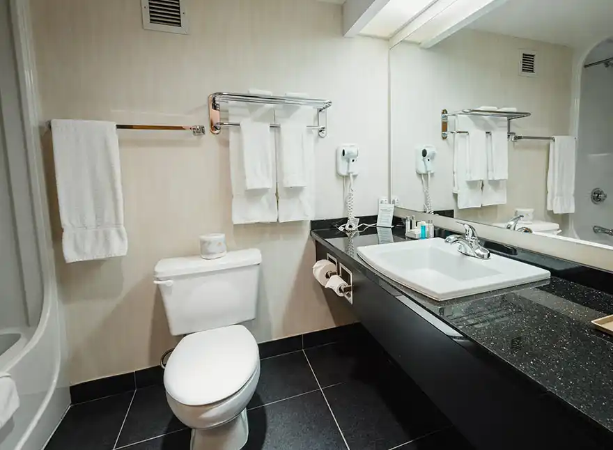 Suite - 2 Queen Beds 8