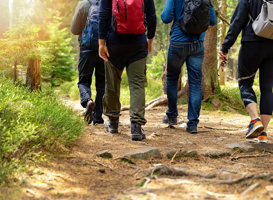 Tours and Groups
